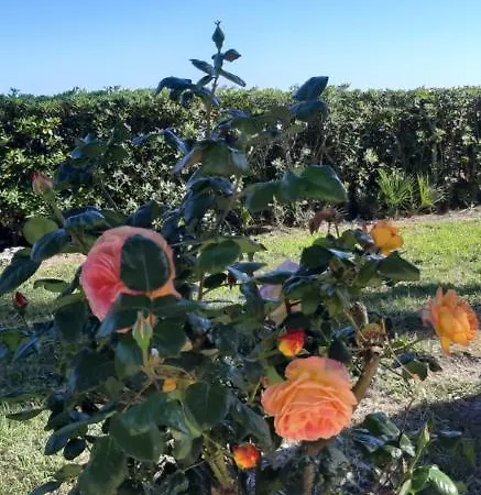 De Ruschi Bed & Breakfast 4*